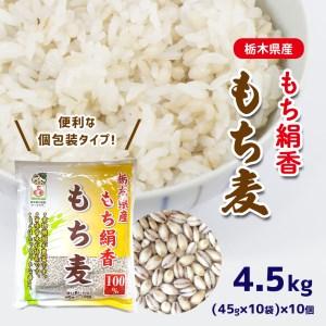 ふるさと納税 もち麦 (45g×10袋)×10個 栃木県真岡市