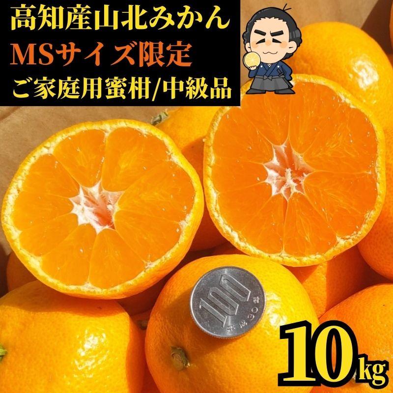 山北みかんMSサイズ限定　10kg　みかん蜜柑　中級品　高知産