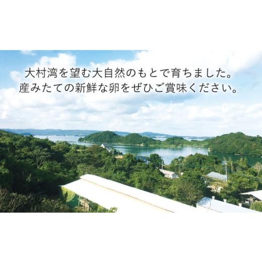 ふるさと納税 長崎県 川棚町 平飼い もみじ の 高級 たまご 新鮮 産みたて卵 20個 [OAC014]