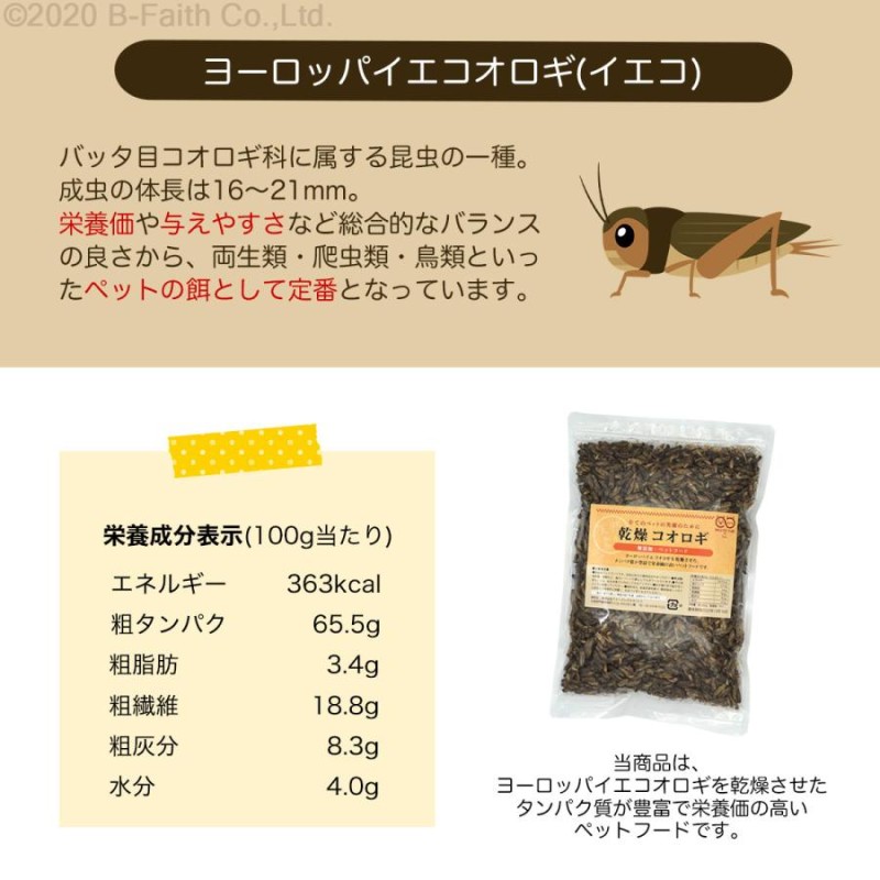 乾燥 コオロギ 200g (約2000匹〜2200匹)イエコオロギ 食用 爬虫類 観賞