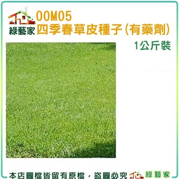 【綠藝家】00M05四季春草皮種子1公斤裝(有藥劑處理)(四季青草皮種子)速綠草 全綠草 四季青