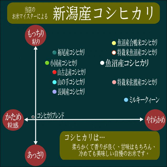 送料無料 令和５年産 新潟県山古志産コシヒカリ 5kg おこめ 精米 新潟