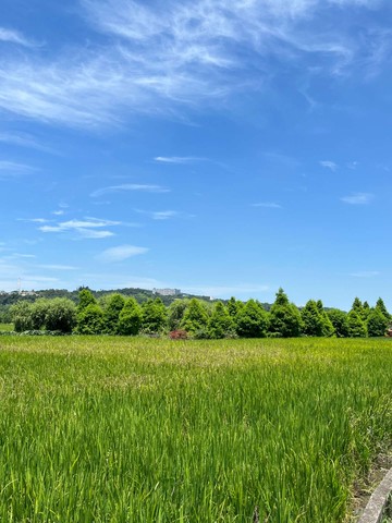 專簽--后科旁超甜農地!非常具有增值潛力｜台中市后里區里城段