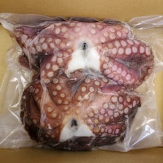 大阪泉州産「泉タコ(生だこ)」1.3kg