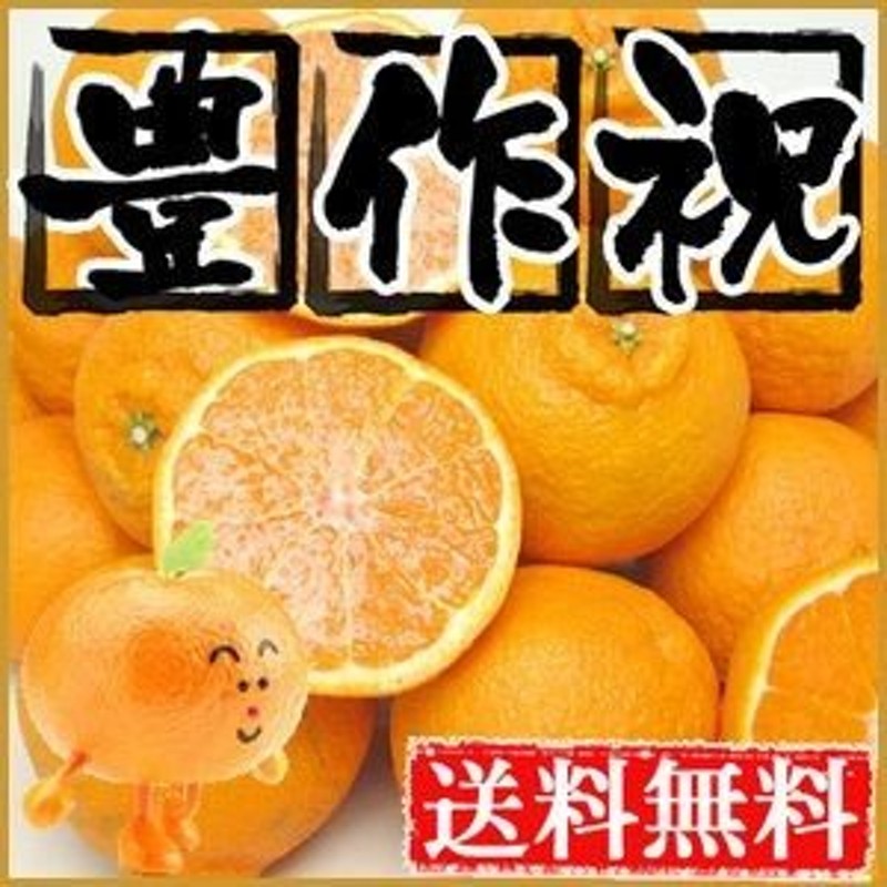 訳ありデコみかん　愛媛県産　10kg　くだもの　送料無料　フルーツ　2セット御購入でお得な500円OFFクーポン！　デコポン　でこぽん　果物　みかん　LINEショッピング