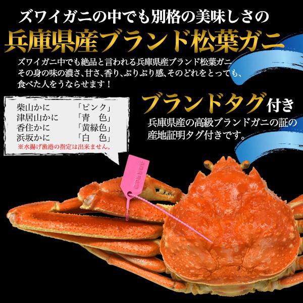 ズワイガニ ボイル 姿 松葉ガニ ゆで 2杯 700〜800g×2 タグ付き 兵庫県産 国産 カニ 蟹 冷蔵便