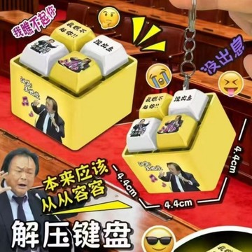 【瑞星數碼】✨隔日達 惡搞 整人解壓玩具 掛件鑰匙扣 王世堅 從從容容發光語音鍵盤按鍵 鑰匙圈