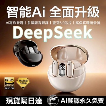 🚀現貨隔日達🚀智能AI翻譯無線藍芽耳機 同聲傳譯翻譯器 語音翻譯耳機 超長續航 商務英語同聲傳譯 降噪藍芽耳機 藍牙耳機
