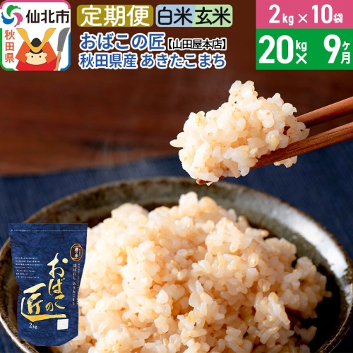 《定期便9ヶ月》令和5年産 仙北市産 おばこの匠 20kg×9回 計180kg 9か月 9ヵ月 9カ月 9ケ月 秋田こまち お米 秋田県産あきたこまち