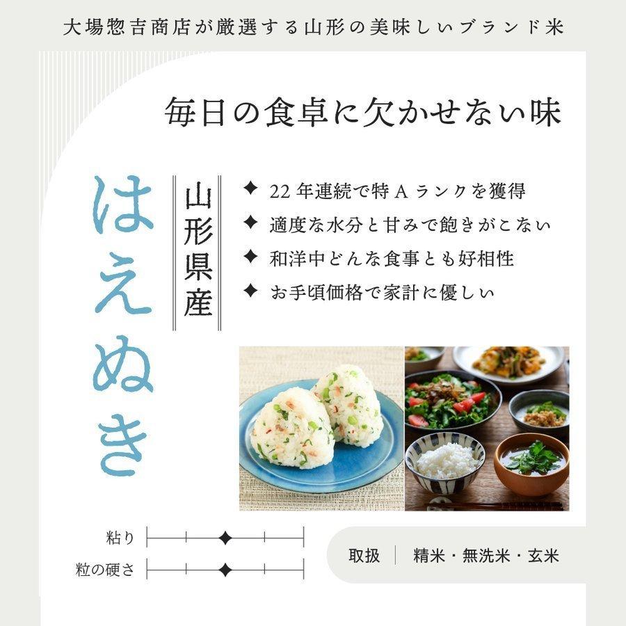 お米 コメ はえぬき 新米 10kg 5kg×2 無洗米 精米 送料無料 山形県産 令和5年産 令和五年産