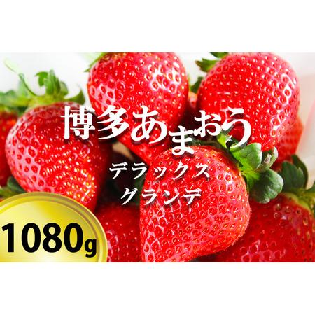 ふるさと納税 いちご の王様「博多あまおうデラックス＆グランデ」4パック 福岡県小郡市