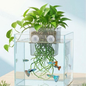 🔥人氣夯點+銷量冠軍👑水培定植籃掛壁式水草種植杯魚缸造景裝飾綠蘿固定 FT634