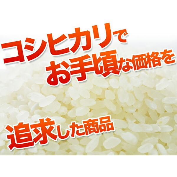 令和五年度産 国内産故郷コシヒカリ 20kg(10kg×2) メーカー直送