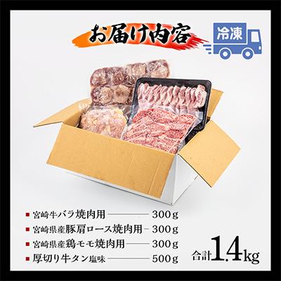 ふるさと納税 宮崎市 宮崎県産牛豚鶏牛タンスライス焼肉セット