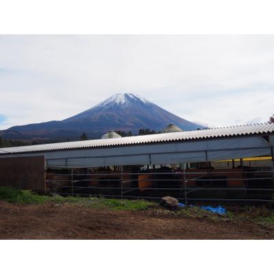 ふるさと納税 富士河口湖町 富士山黒牛 サーロインステーキ 200g×3枚