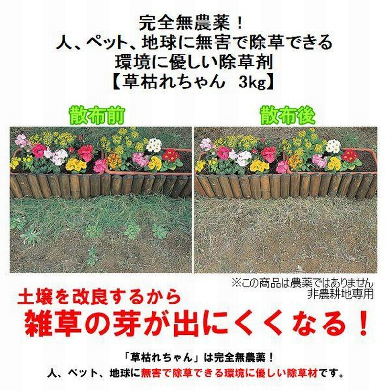 無農薬 除草剤 雑草対策 草枯れちゃん 5kg 4袋セット 草枯れちゃん 1kg 安全無農薬除草剤