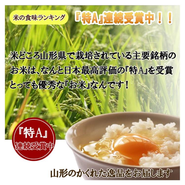 白米 10kg (5kg×2) 山形県産 特別栽培米 つや姫 米 お米 精米済 令和5年（送料無料）