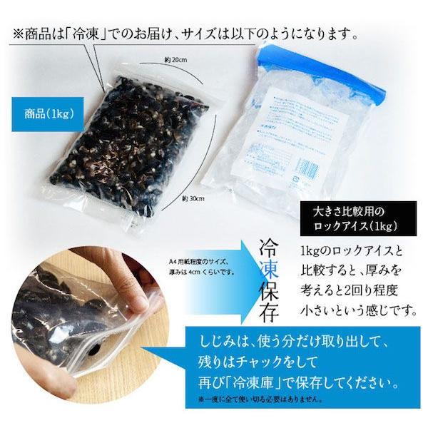 島根県・宍道湖産冷凍しじみ　Mサイズ 2kg（1kg×2袋・2キロ）送料無料 砂抜き済 シジミ 蜆 お取り寄せ しじみ屋かわむら