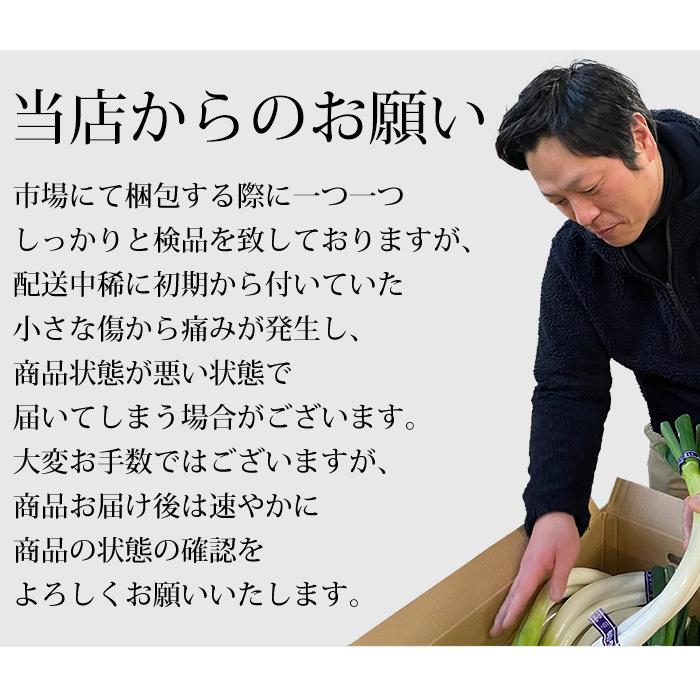 野菜詰め合わせ 市場直送おまかせ国産野菜セット 10〜13品 国産