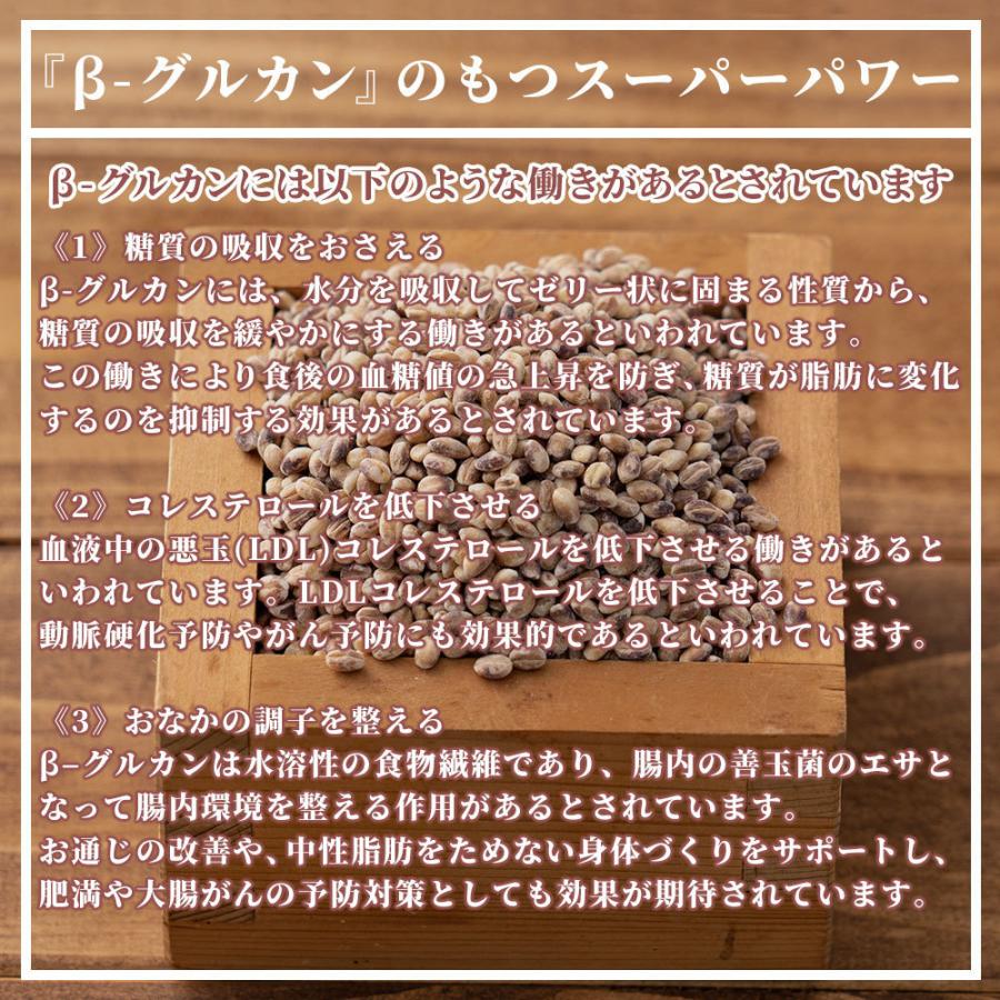 セール 国産 もち麦 2.7kg(450g×6袋) （翌日発送） 無添加 無着色 雑穀 雑穀米 ダイエット 置き換え 食品 食物繊維 送料無料