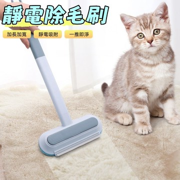 靜電除毛刷 貓毛清理器 寵物除毛器 寵物除毛刷 高效除毛清潔刷 除塵刷 除貓毛神器 貓條刷 除毛清潔刷