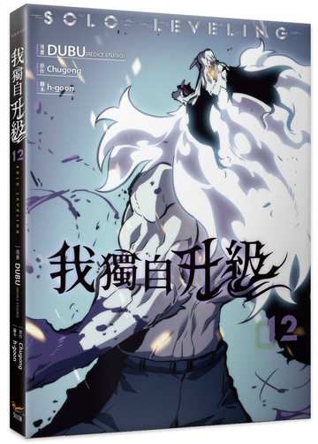我獨自升級 12漫畫