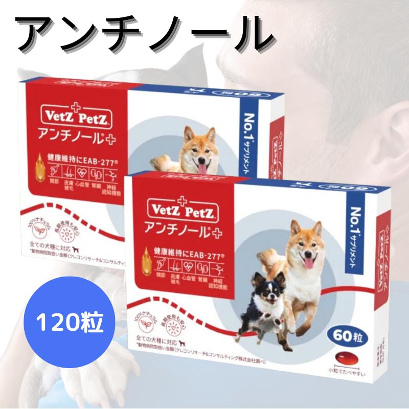 アンチノール プラス 犬用 60粒 2箱セット 120粒 犬用サプリメント