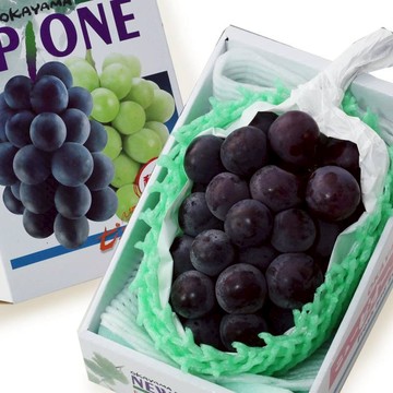 葡萄界夢幻逸品【新鮮屋 FRESCO】日本岡山縣貓眼葡萄1入禮盒 (600g±10%/盒) 無籽葡萄 果肉飽滿 香氣濃郁 年節送禮 送禮推薦