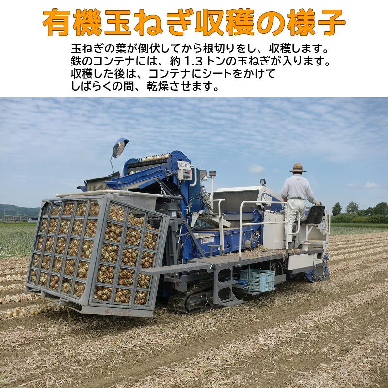 有機玉ねぎ 5kg 有機ＪＡＳ 送料無料