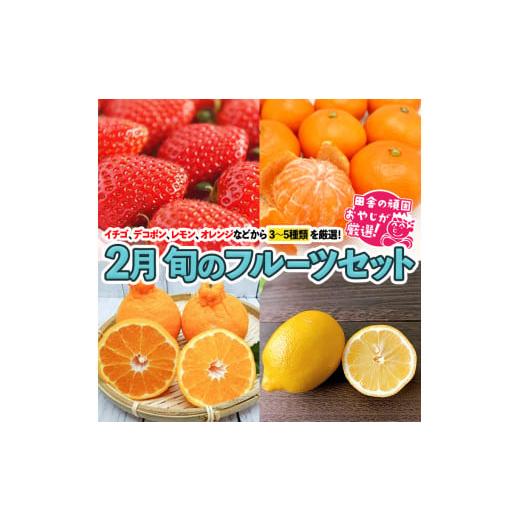 ふるさと納税 茨城県 つくばみらい市 旬のフルーツセット 2月号 田舎の頑固おやじが厳選！