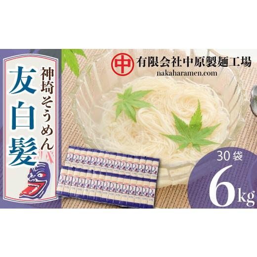 ふるさと納税 佐賀県 神埼市 神埼そうめん「友白髪」 30袋入り (H045103)