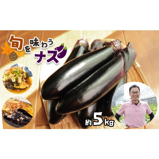 ふるさと納税 栃木県 真岡市 野菜 ナス 旬を味わうナス 約5kg