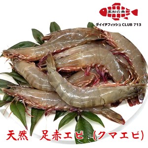 活〆天然足赤海老（生食用）400g 冷凍発送 第一物産 お刺身用 エビ 海老 唐揚げ 酒の肴 おきゃく 急速冷凍