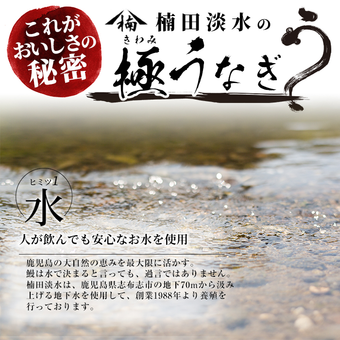 楠田の極うなぎ　蒲焼き170ｇ以上×3尾(計510ｇ以上） b2-018