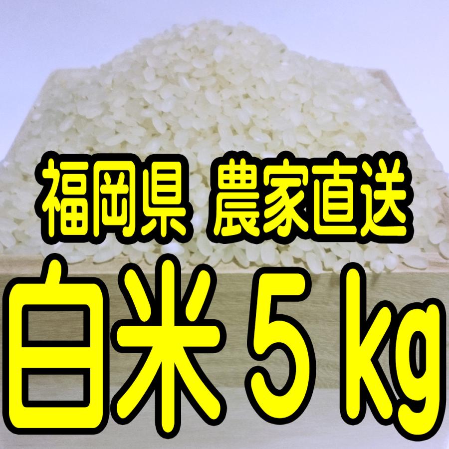 福岡県産 無農薬栽培米 白米5キロ