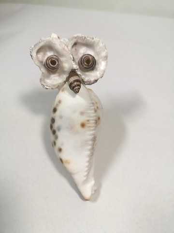 貓頭鷹小夜燈 貝殼燈飾 小夜燈