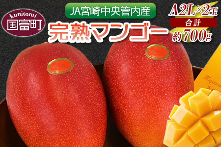 予約受付！数量限定！＜宮崎県産 完熟マンゴー A等級 2Lサイズ×2玉（合計約700g）＞2024年4月下旬～6月末迄に順次出荷