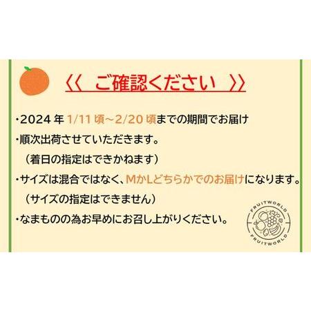 ふるさと納税 三ヶ日 みかん 青島 約 8kg（サイズ：LまたはM） 静岡県浜松市