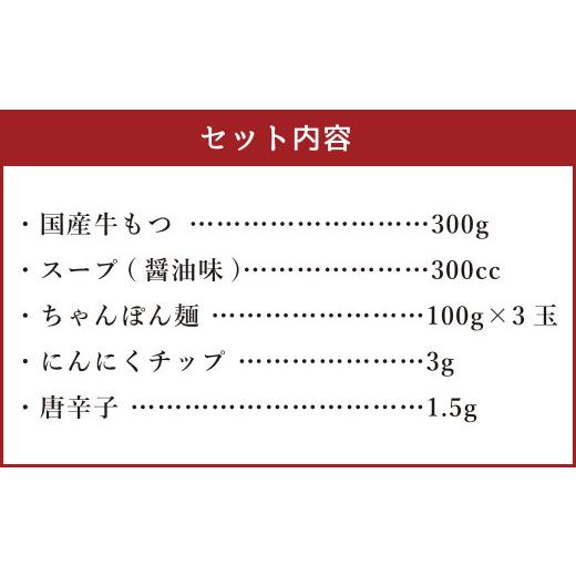 ふるさと納税 福岡県 遠賀町 博多もつ鍋 3人前 醤油味 国産牛モツ ちゃんぽん麺 ホルモン