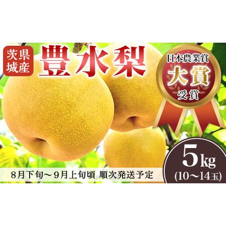 ふるさと納税 茨城県産「豊水梨」約5kg 茨城県下妻市