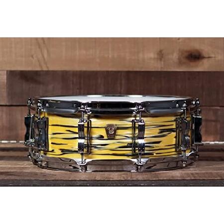 Ludwig 5" x 14" Classic Maple Snare Drum, Lemon Oyster