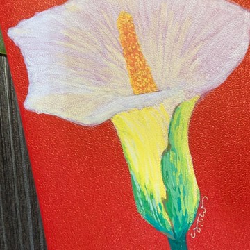 老婆情人專屬具詩意且含蓄的表白紅包袋 / 手繪海芋親筆手寫字