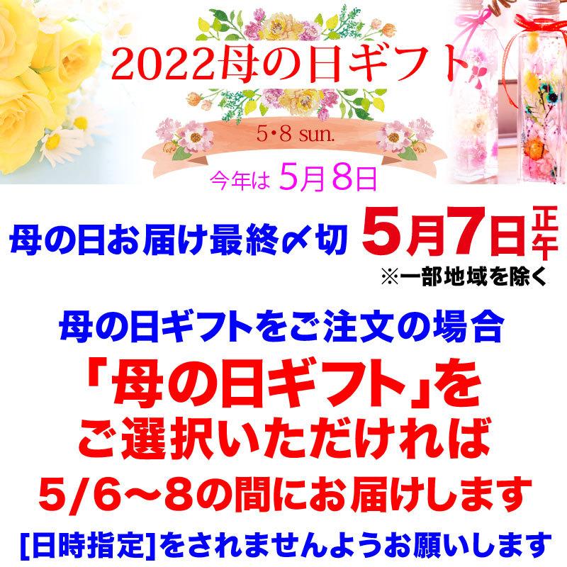 ギフト カキフライ 牡蠣 かき 広島県産 特大 (特産品 名物商品) 約35〜40g×20個入 送料無料 広島県産 海鮮 魚介 貝