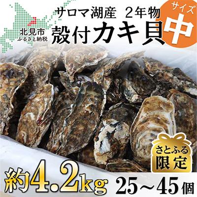 ふるさと納税 北見市 サロマ湖産殻付き2年牡蠣　中　約4.2kg(約25個〜45個)