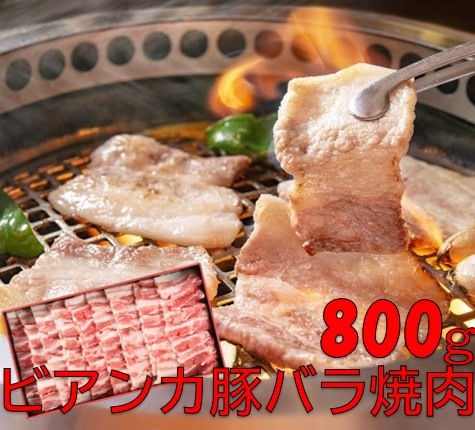 純白のビアンカ豚バラ焼肉用　800g　国産