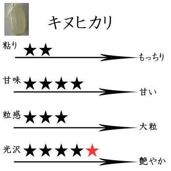 新米 キヌヒカリ ●20kg(精米なし) 滋賀県近江八幡産 内野営農組合 令和5年産 環境こだわり農産物