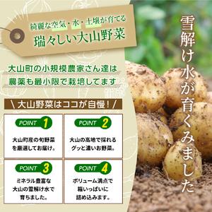 ふるさと納税 MS-01　新鮮朝採れ野菜　お手ごろセット 鳥取県大山町