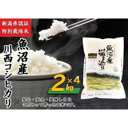 ふるさと納税 魚沼産川西こしひかり2kg×4　新潟県認証特別栽培米　令和５年度米 新潟県十日町市