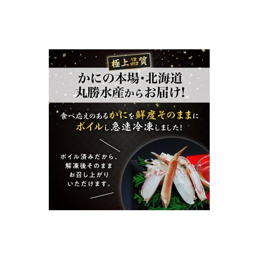 ふるさと納税 北海道 登別市 訳あり 冷凍 ボイル ずわいがに 足 600g ズワイガニ ハーフポーション