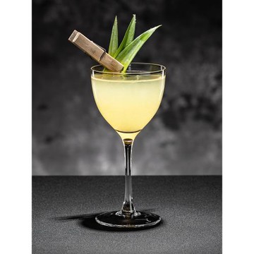 IN01尼克諾拉杯調酒杯雞尾酒杯馬天尼杯高腳杯香檳杯闊口杯古典杯